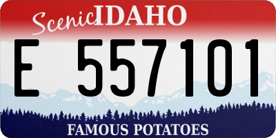 ID license plate E557101