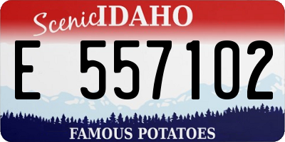ID license plate E557102