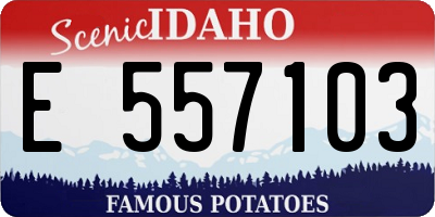 ID license plate E557103