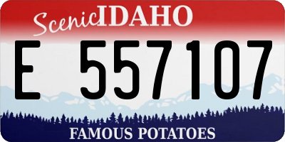 ID license plate E557107