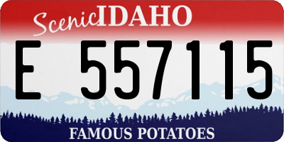 ID license plate E557115