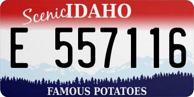 ID license plate E557116