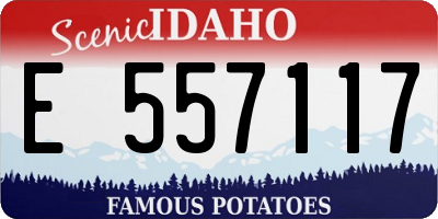 ID license plate E557117