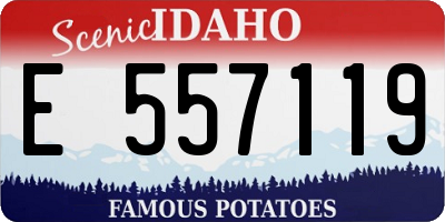 ID license plate E557119