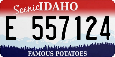 ID license plate E557124