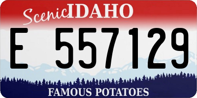 ID license plate E557129