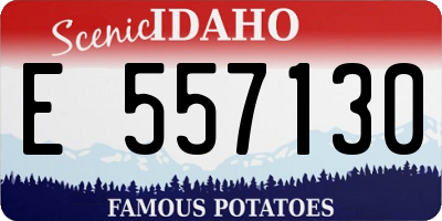 ID license plate E557130