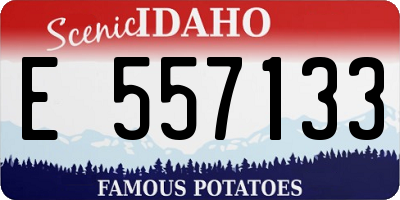 ID license plate E557133