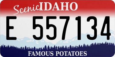 ID license plate E557134