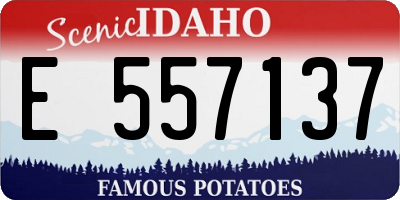 ID license plate E557137