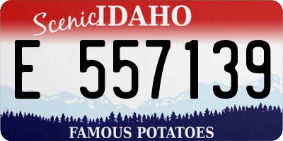 ID license plate E557139