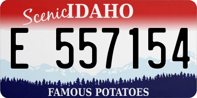ID license plate E557154
