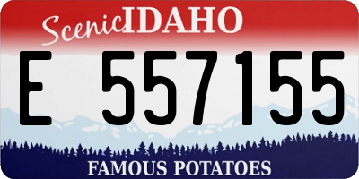 ID license plate E557155