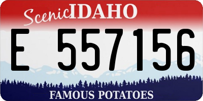 ID license plate E557156