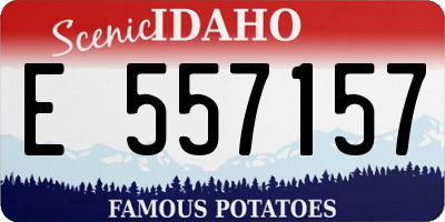 ID license plate E557157