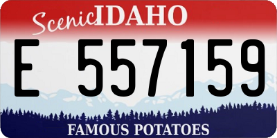 ID license plate E557159