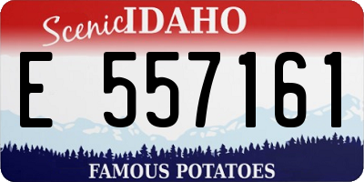ID license plate E557161