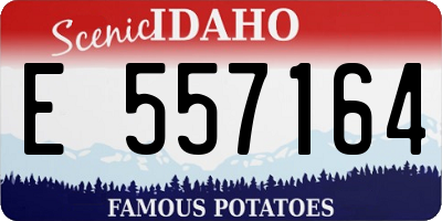 ID license plate E557164