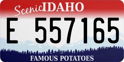 ID license plate E557165