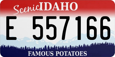 ID license plate E557166
