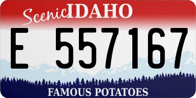 ID license plate E557167