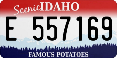 ID license plate E557169