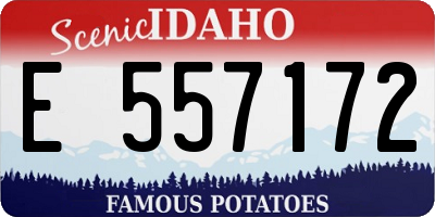 ID license plate E557172