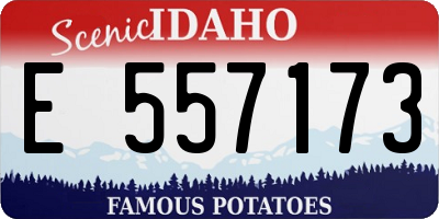 ID license plate E557173