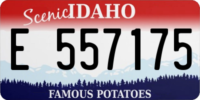ID license plate E557175