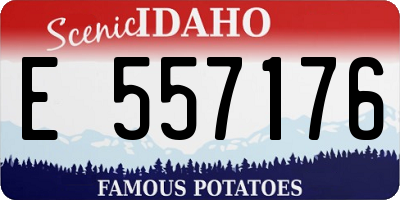 ID license plate E557176