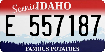 ID license plate E557187