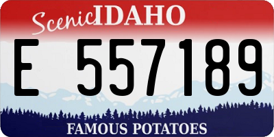 ID license plate E557189
