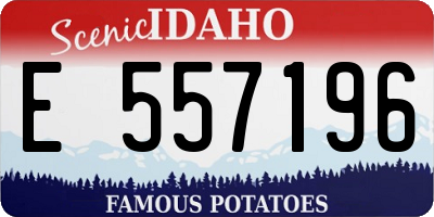 ID license plate E557196