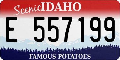 ID license plate E557199