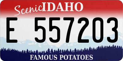 ID license plate E557203
