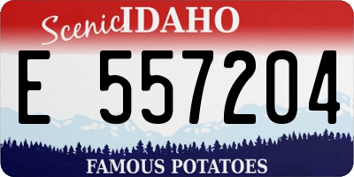 ID license plate E557204