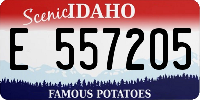 ID license plate E557205