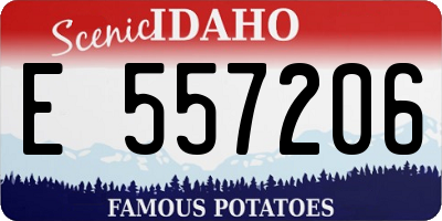 ID license plate E557206