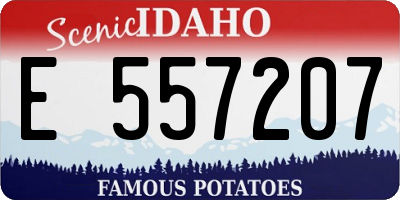 ID license plate E557207