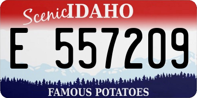 ID license plate E557209