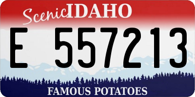 ID license plate E557213