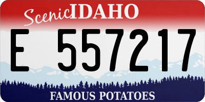 ID license plate E557217