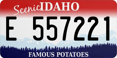 ID license plate E557221
