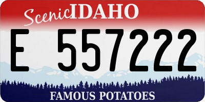 ID license plate E557222