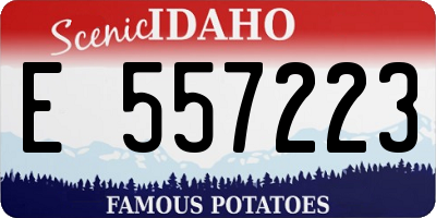 ID license plate E557223