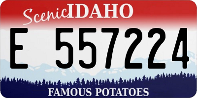 ID license plate E557224