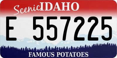 ID license plate E557225