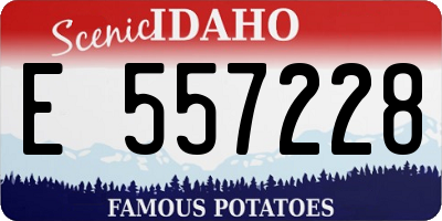 ID license plate E557228
