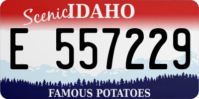 ID license plate E557229