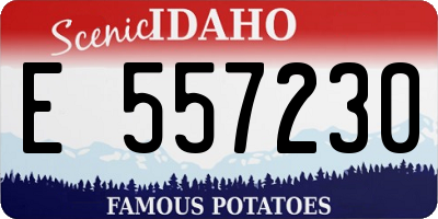 ID license plate E557230